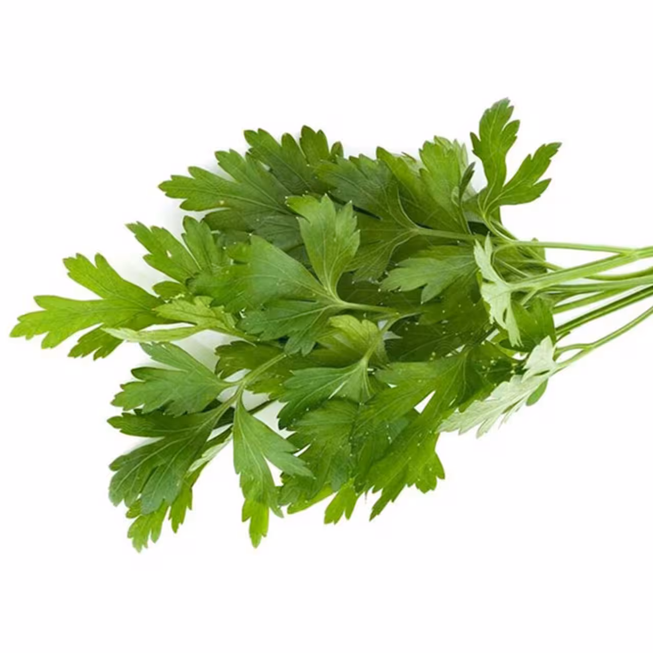 بذر سبزی جعفری