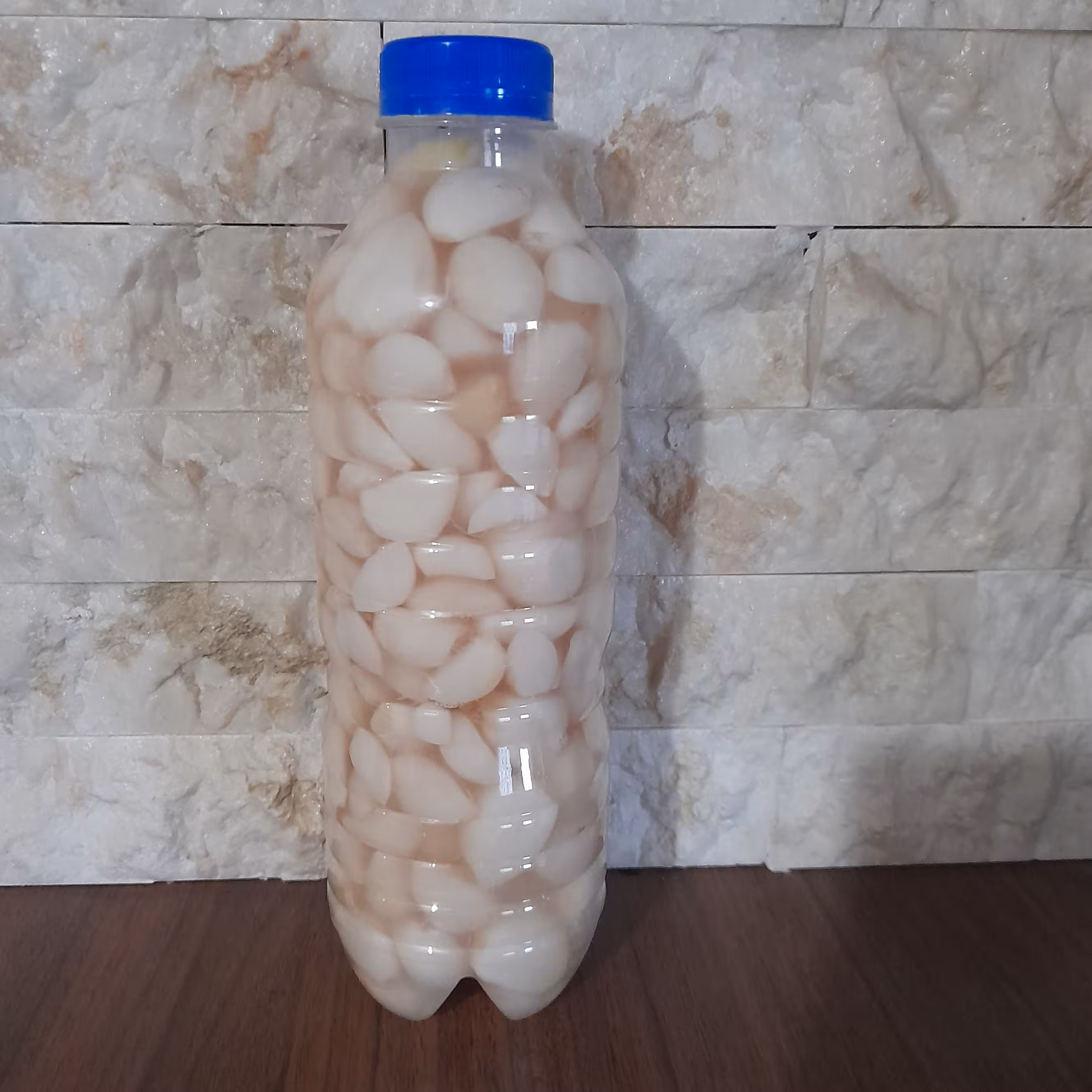 سیر صدفی (1000گرمی)