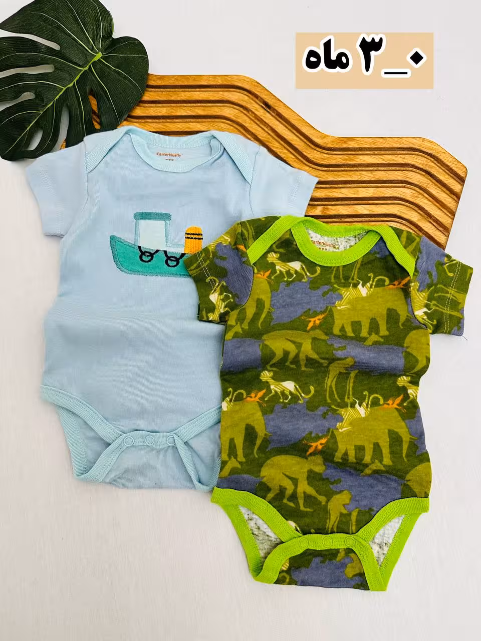 بادی آستین کوتاه کارترز K31