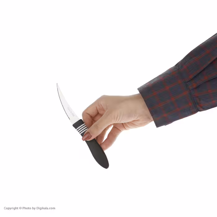 کارد میوه خوری جین جی لی کد 8674 مجموعه 12 عددی