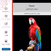 برچسب پوششی ماهوت مدل Parrot مناسب برای گوشی موبایل شیائومی Redmi Note 2