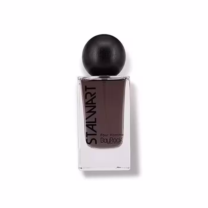 ادوپرفیوم مردانه بایراک استالوارت حجم 100 میلی‌لیتر BayRock Stalwart EDP