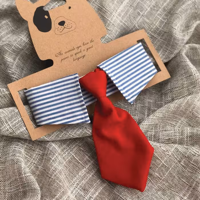 یقه و کروات مخصوص سگ و گربه (یقه راه راه و کروات قرمز)