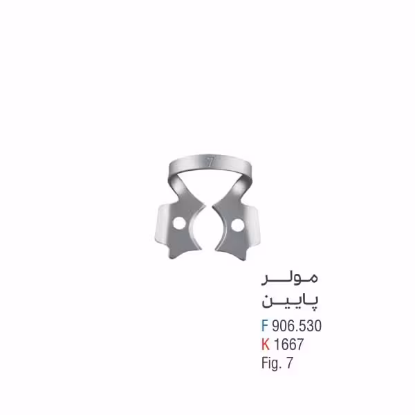 مولر پایین - کوشا
