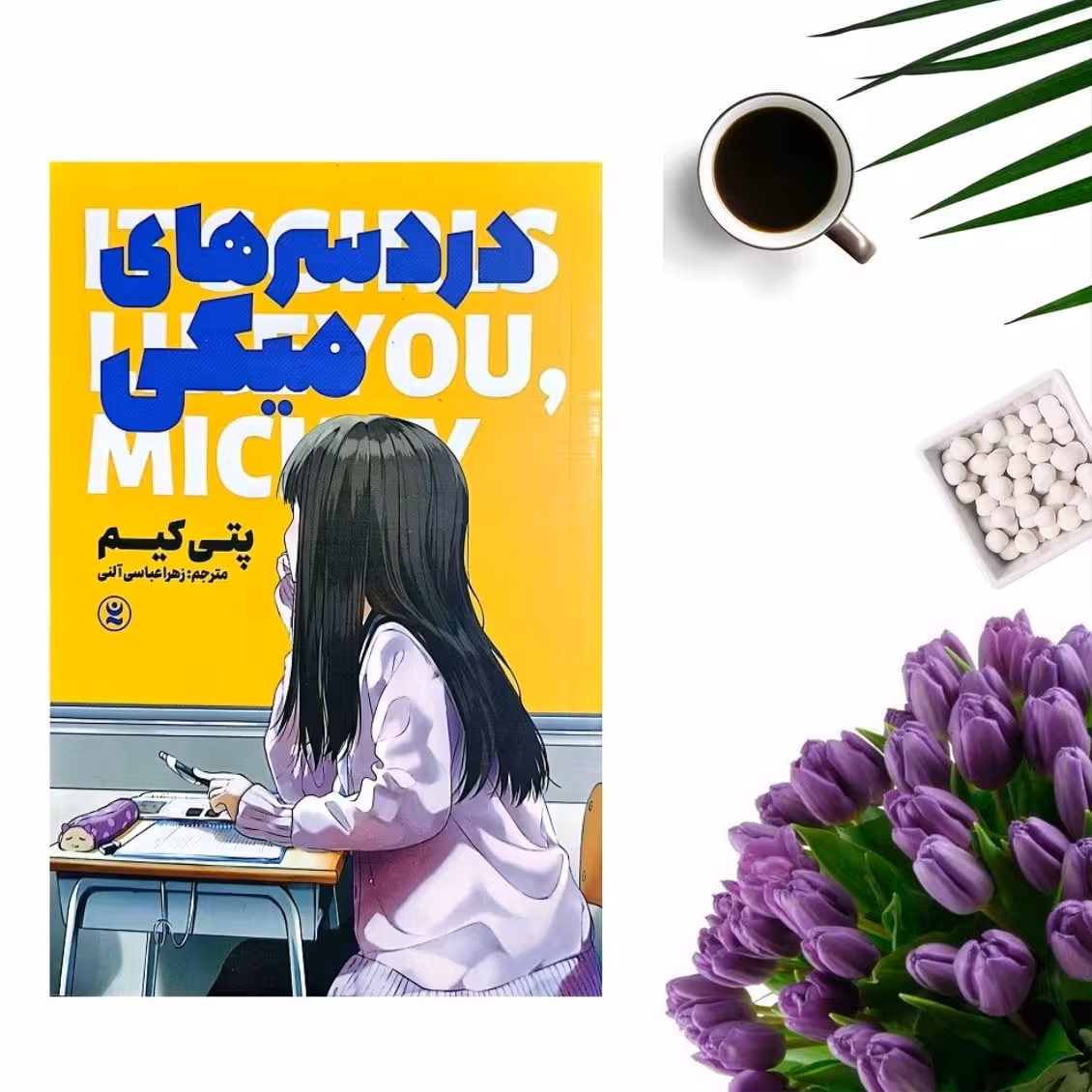 کتاب دردسرهای میکی اثر پتی کیم انتشارات نگاه آشنا