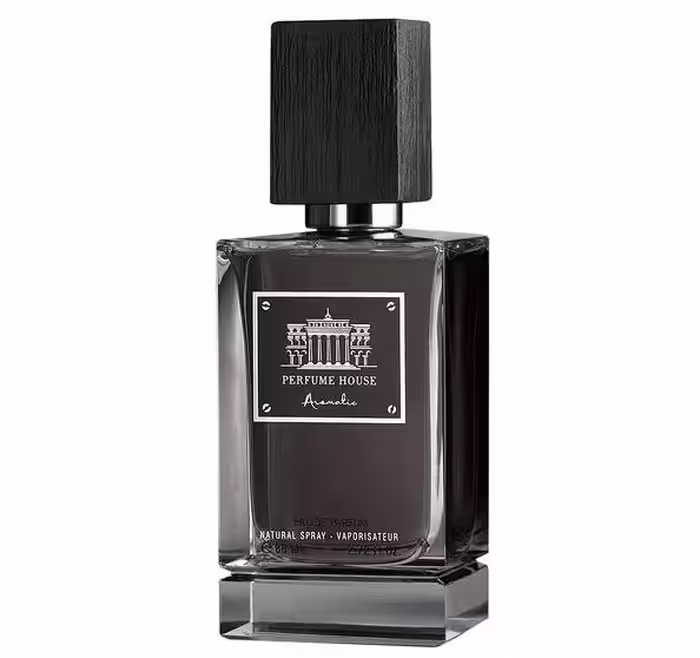 ادکلن مردانه پرفیوم هاوس مدل Perfume House Aromatic حجم 100 میل