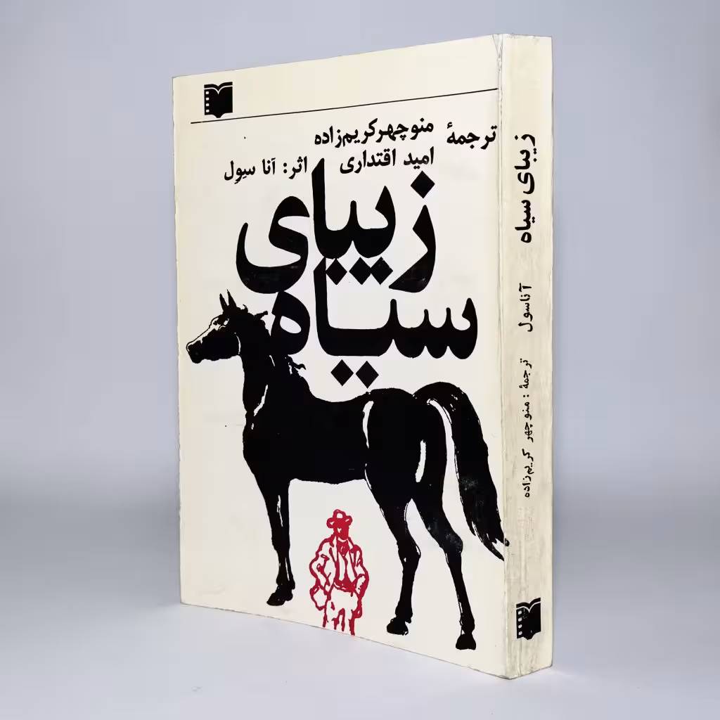 کتاب زیبای سیاه اثر آنا سول - کتابفروشی میم