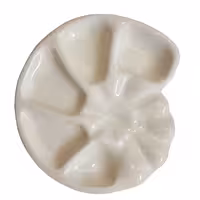 پالت سرامیکی مدل صدف (وندا- sadaf)