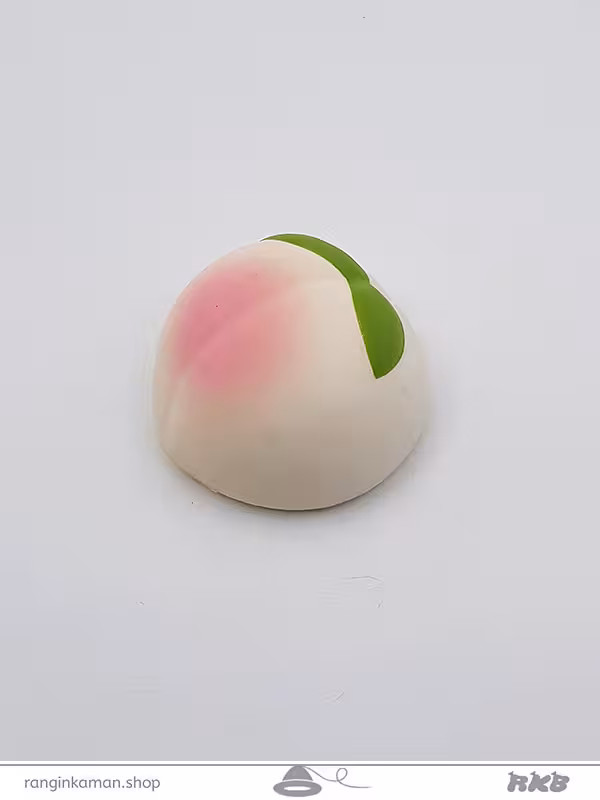 اسکویشی کد 210