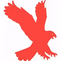 شابلون دیواری عقاب کد 330