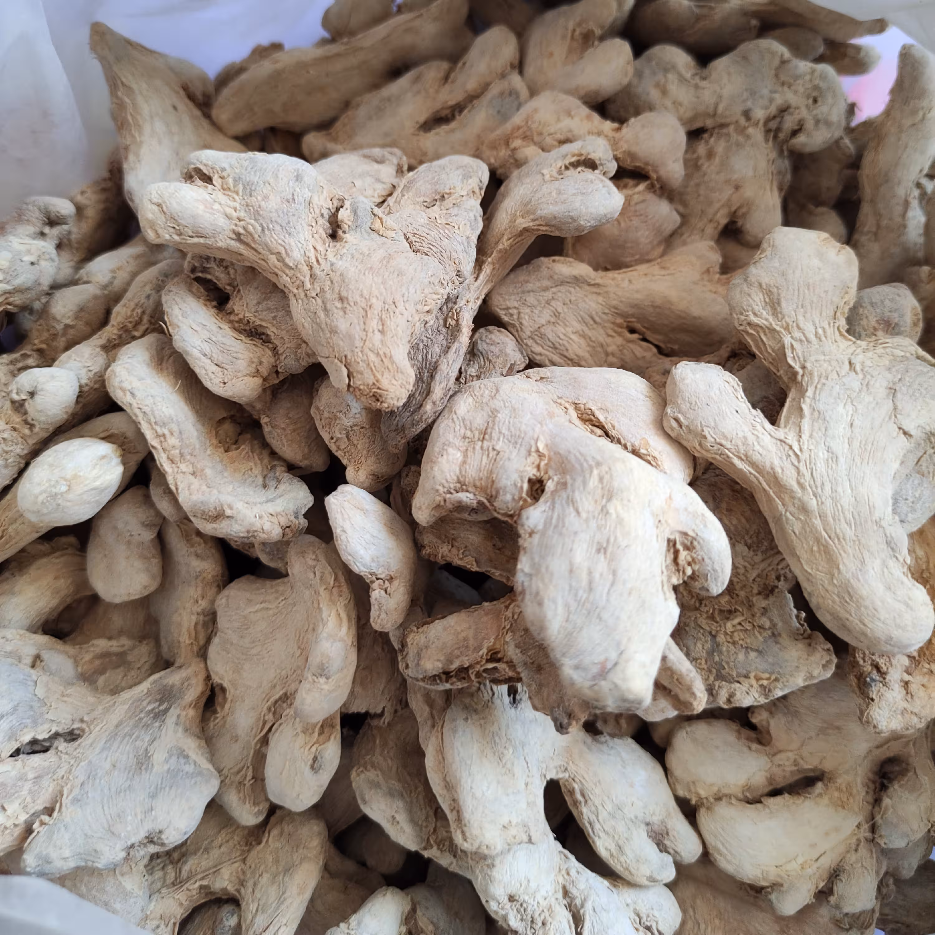 زنجبیل قلم درشت  چینی