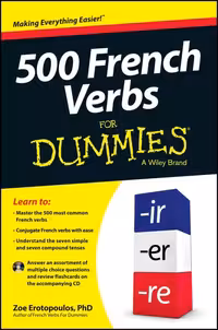 کتاب فرانسه 500 وربز فور دامیز 500 French Verbs For Dummies