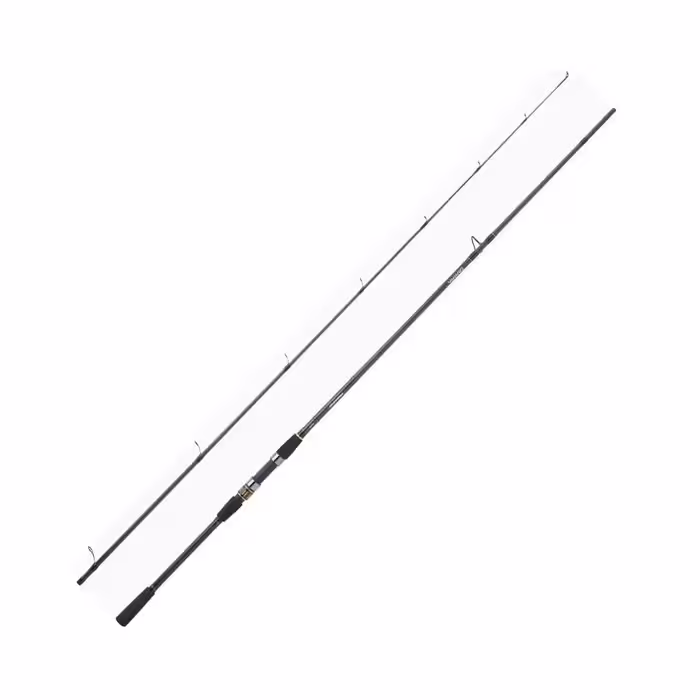 چوب ماهیگیری دایوا پروکستر DAIWA PROCASTER A