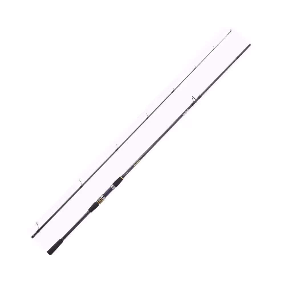 چوب ماهیگیری دایوا پروکستر DAIWA PROCASTER A