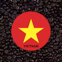 دان قهوه روبوستا ویتنام دارک رست فله – 5kg