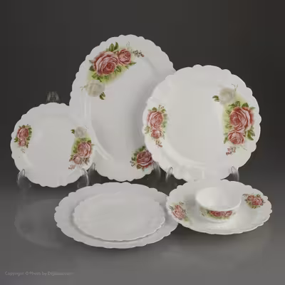 سرویس غذا خوری 25 پارچه آیروپال طرح گرد مدل کازالیکا