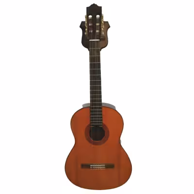 پایه گیتار مدل پولگار  002