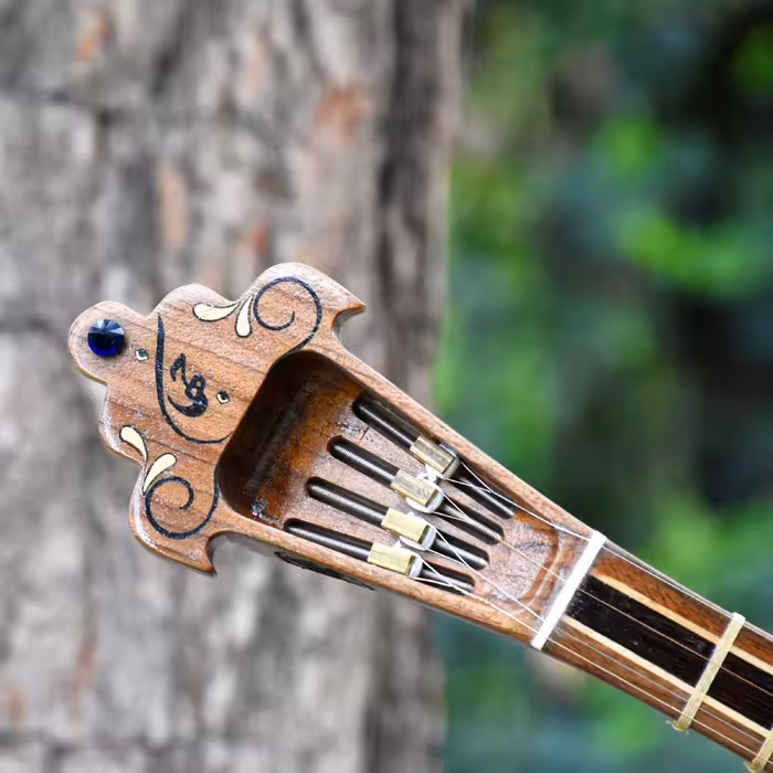 سه تار ایران ساز مدل جهان