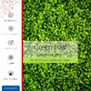 برچسب ماهوت طرح Leafs مناسب برای ساعت هوشمند هوآوی Watch Fit