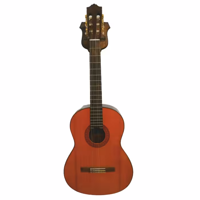 پایه گیتار مدل پولگار  002