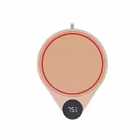 صفحه گرمکن برقی سوسینگ مدل DSHJ-S-2103