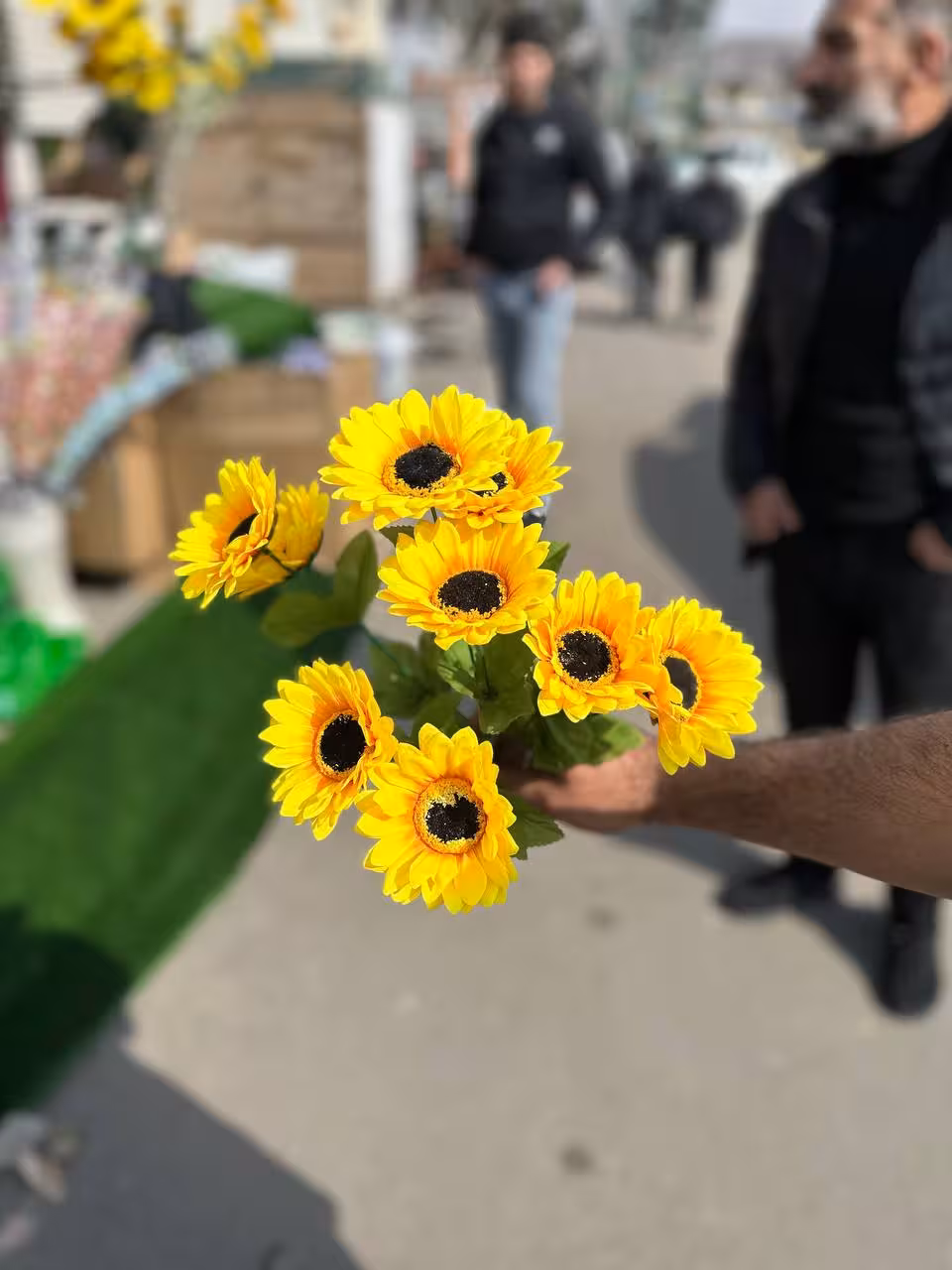 بوته آفتابگردان 10گل