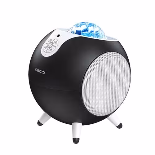 اسپیکر مدل RSK-W22