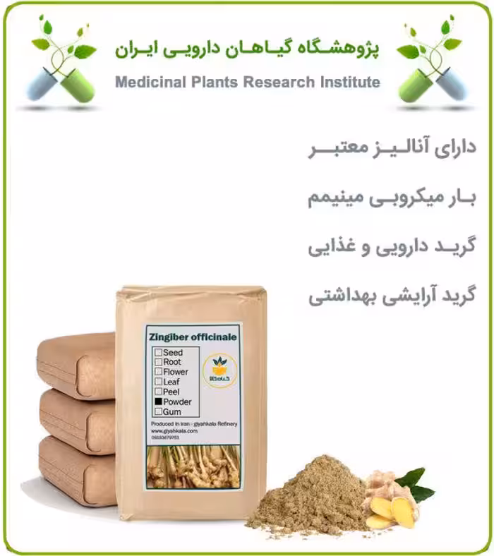 پودر ریشه زنجبیل فله