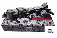 کوئل 206 تیپ 5 – والئو عظام