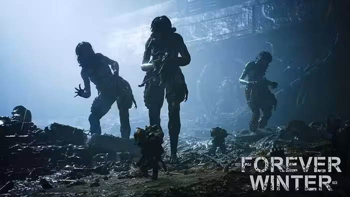 سی دی کی اورجینال بازی The Forever Winter کامپیوتر (PC)