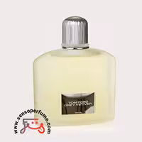 عطر ادکلن تام فورد گری وتیور | tom ford grey vetiver edp