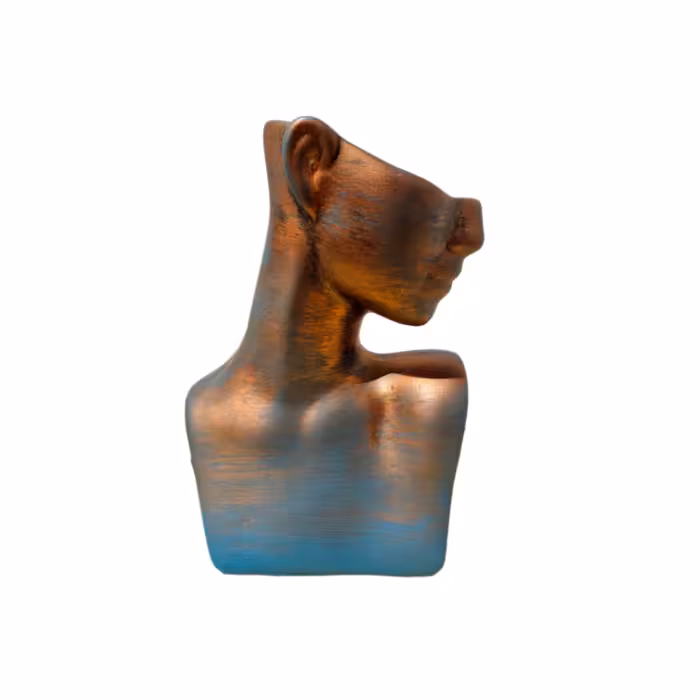 تندیس نیم رخ