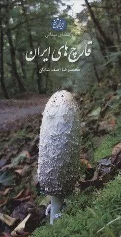 راهنمای میدانی قارچ های ایران (گلاسه)