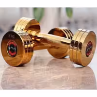 دمبل تمام استیل طلایی وزن 5 کیلوگرم