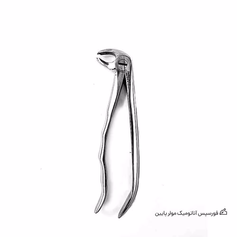 فورسپس آناتومیک مولر پایین