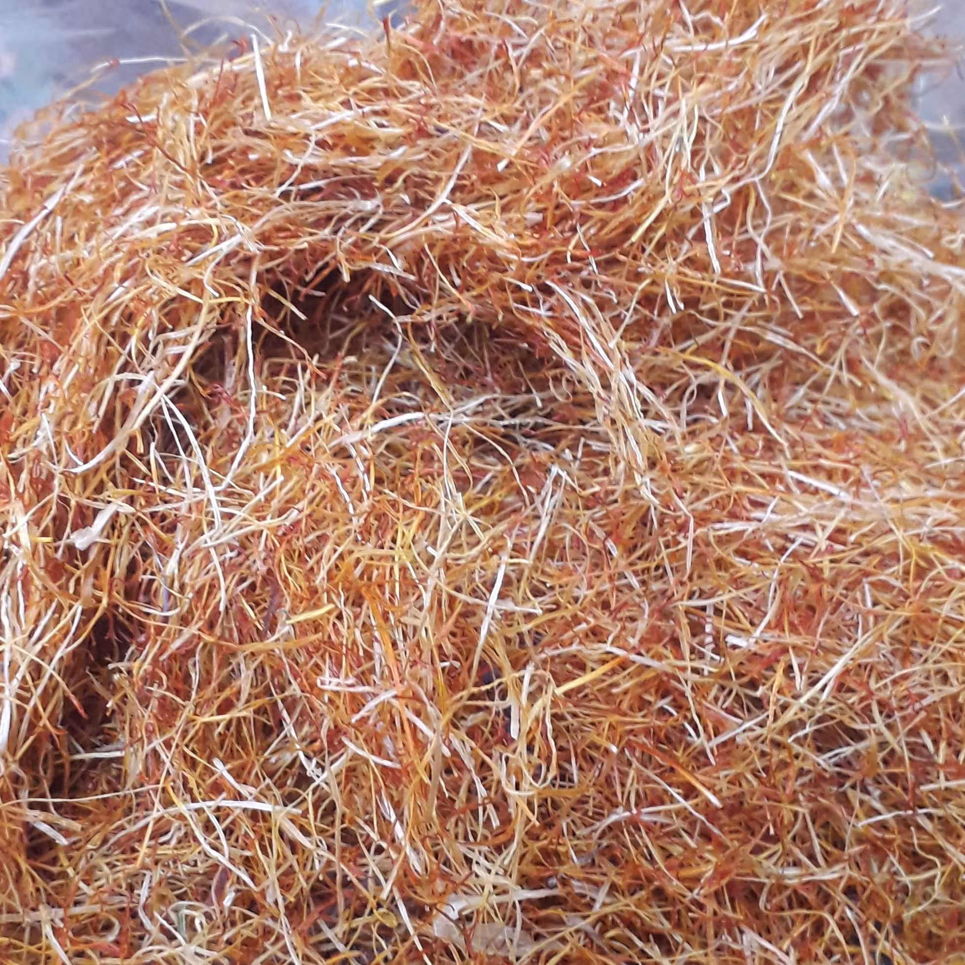 300ریشه نگین زعفران درجه یک+ 30 گرم پرچم زعفران