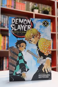 Demon Slayer Vol.3 اثر Koyoharu Gotouge