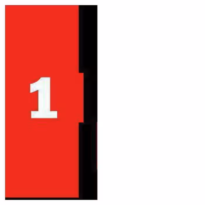 شانه پلاستیکی طرح دار کد1