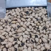 لوبیا چشم بلبلی  1 کیلویی