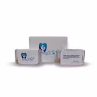 وج چوبی طبیعی طرح کاکتوس