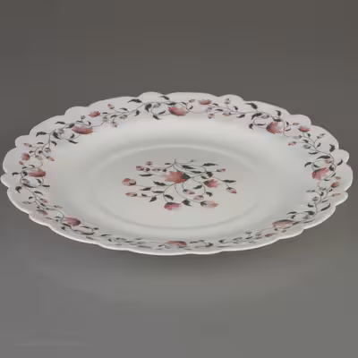 سرویس غذا خوری 25 پارچه آیروپال طرح کنگره مدل گلوریا