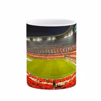ماگ چیتوکالا طرح استادیوم کد mgp10712