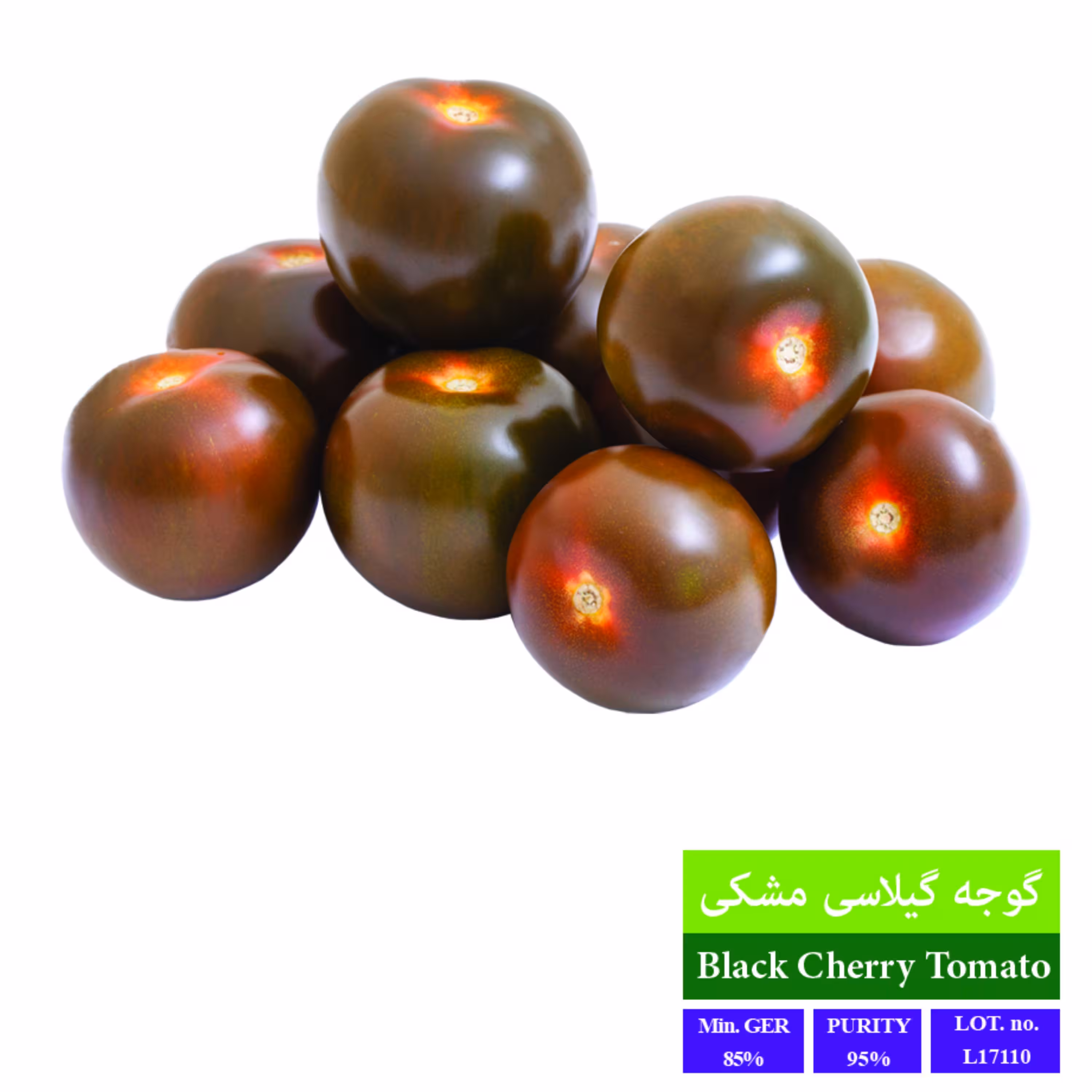 بذر گوجه گیلاسی مشکی بذر طلایی رویان