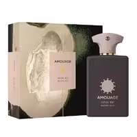 عطر آمواج اوپوس 13 سیلور عود