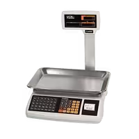 ترازو رادین 40 کیلویی 6700 Plus علمک دار