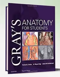 کتاب Gray’s Anatomy for Students 4th Edition2024 دوره 3 جلدی