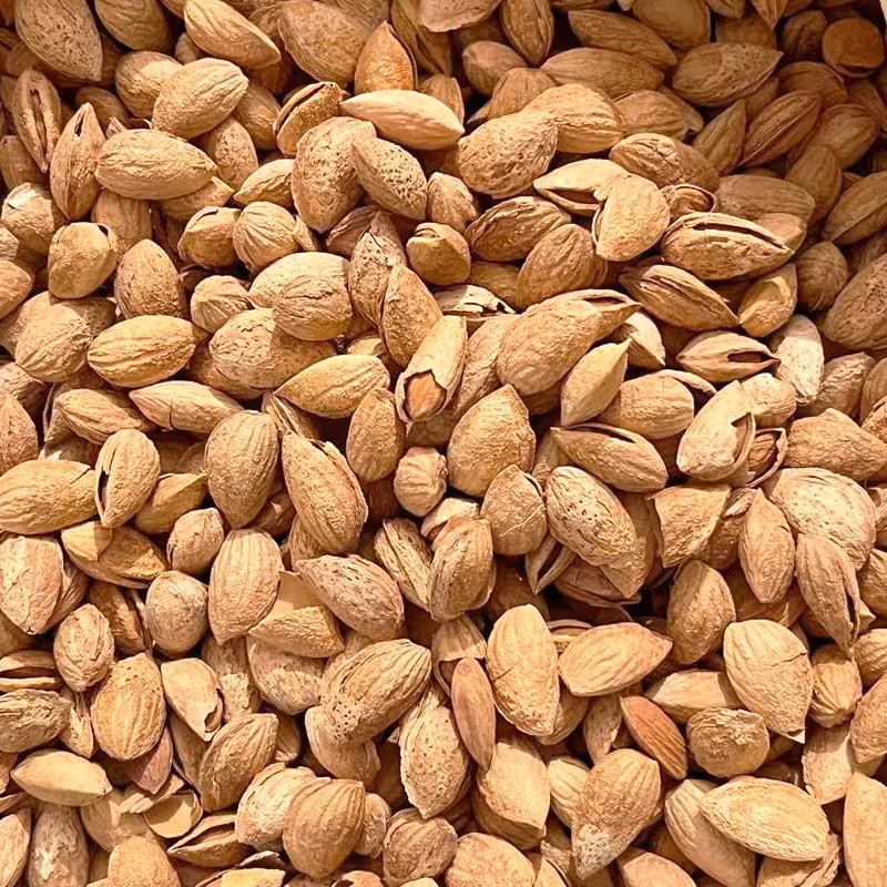 بادام پوست کاغذی خام 1000 گرمی