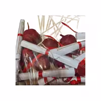گیفت یلدایی انار