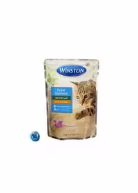 پوچ وينستون (Winston) گربه با طعم گوشت شکاري و اردک 100 گرمي