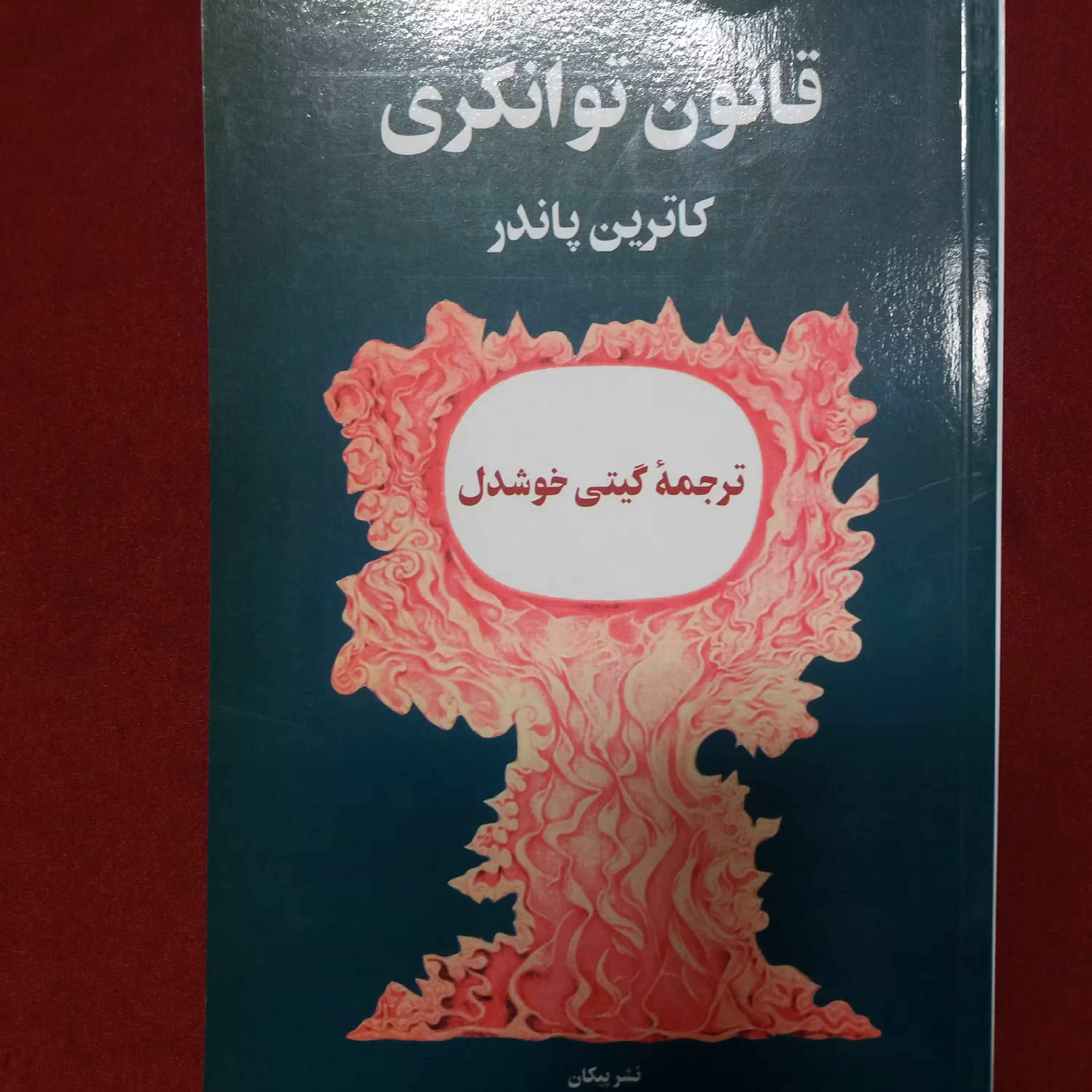 کتاب قانون توانگری کاترین پاندر